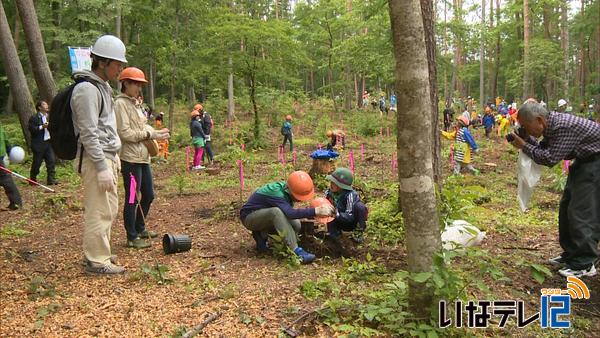 全国植樹祭　伊那会場６００人参加