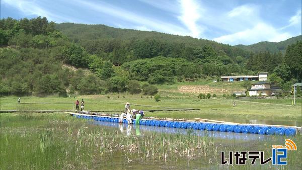 トンボの楽園整備　浮桟橋新設