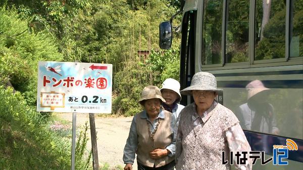 循環バスを活用して新山を巡るツアー