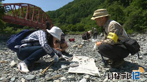 戸台の化石保存が長谷で石ころウォッチング