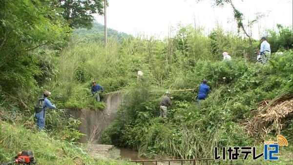 西春近貝付沢で竹林整備作業