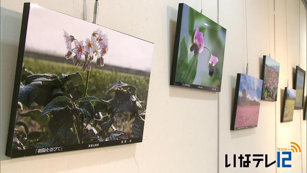 富県写真クラブ　伊那谷の四季を写した作品展示