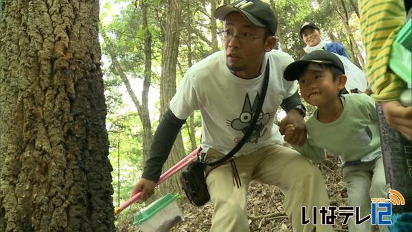 上牧の里山で昆虫採集