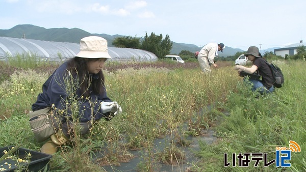 若者の地域への愛着心を　農業体験