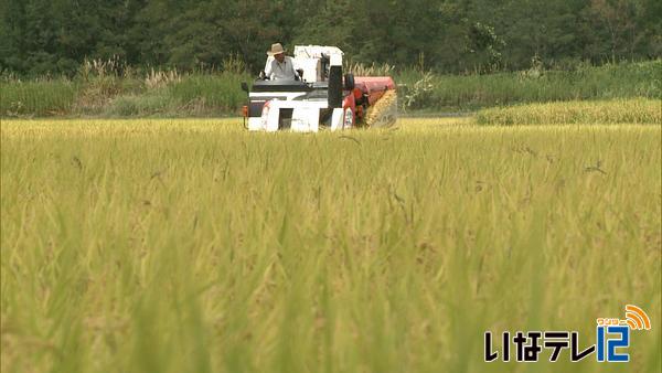 高遠町で稲刈りはじまる