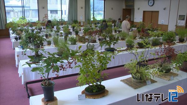 信州みのわ山野草クラブ　秋の展示会　２４日・２５日