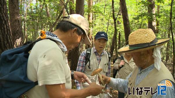 循環バスをつかってキノコ狩りツアー