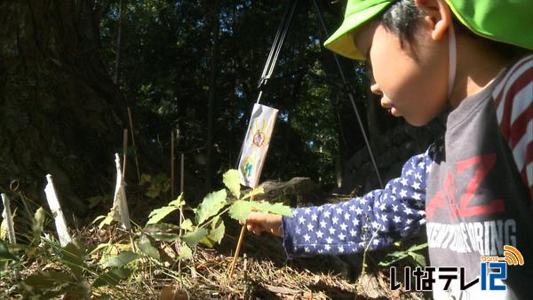 西山神社　西箕輪南部保育園の園児が幟旗奉納