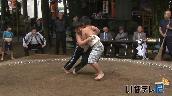 荒井神社で子ども相撲