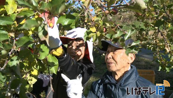 東春近小学校　りんごを収穫