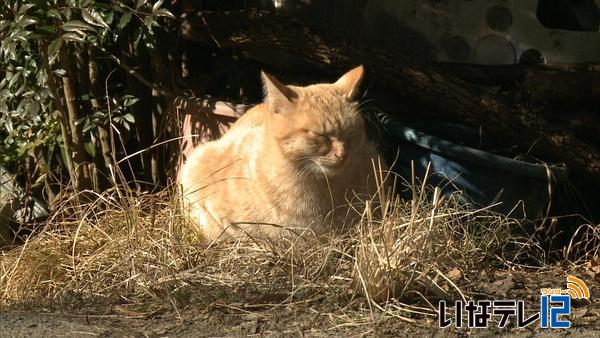 最高気温６．９度　日中寒さ和らぐ