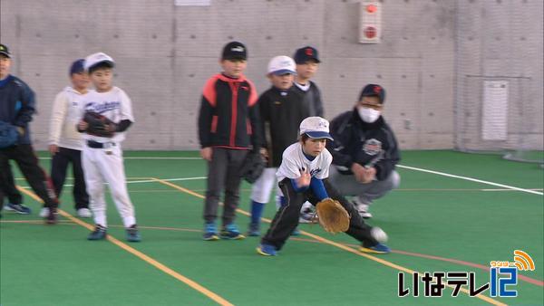 底辺拡大へ 低学年対象の野球教室