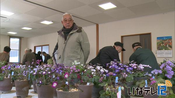 信濃雪割草愛好会　展示会