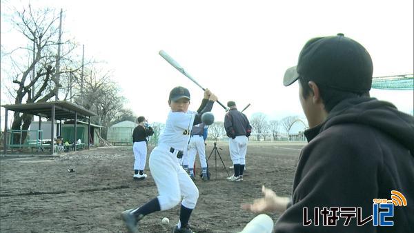 高校の野球部員が小学生に野球を指導