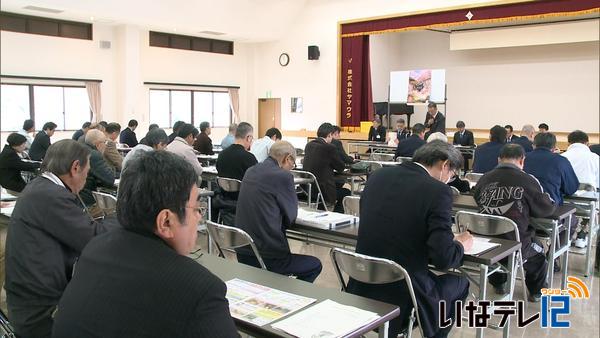 熱気球で高遠の桜を