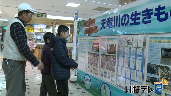 天竜川の水生生物調査　パネル展示