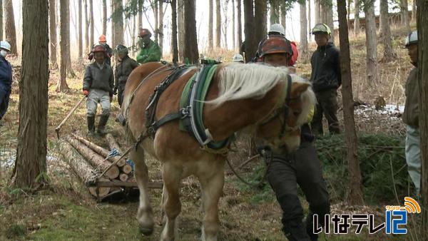 馬で木材を搬出　林業技術講習会
