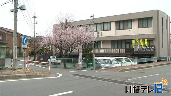 伊那市中央のロトウザクラ見頃