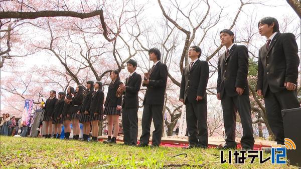 高遠城址公園　高校生が花見客をおもてなし