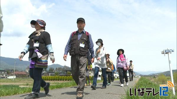 箕輪町グリーンツーリズム　天竜川沿いをウォーキング