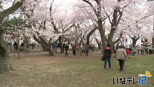 高遠城址公園　入園者数伸び悩む