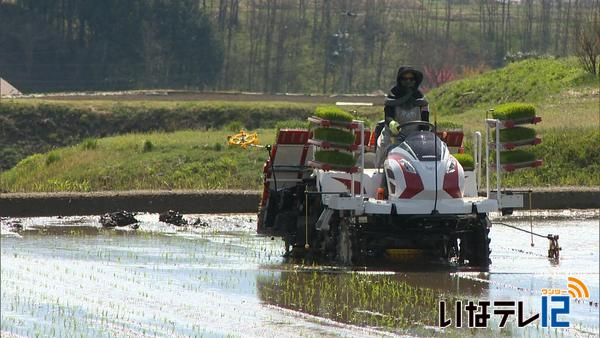 伊那市手良で田植え作業はじまる