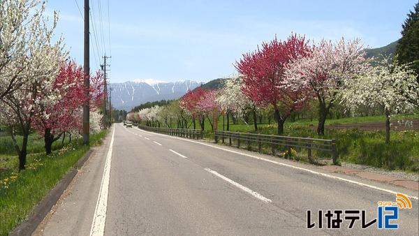 伊那地域最高気温２７．３度