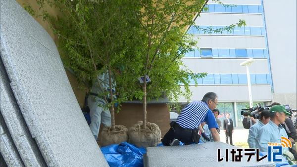 気仙沼へ 桜の苗木が出発