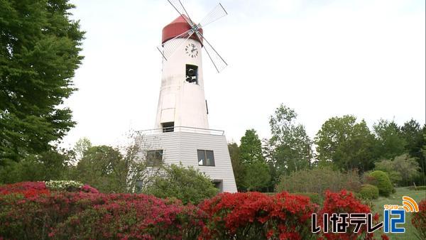 伊那市の鳩吹公園　ツツジが見ごろ