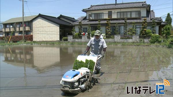 最高気温３１．５度　２日連続の真夏日