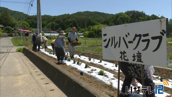 伊那市美篶　笠原シルバークラブが花の植えつけ作業