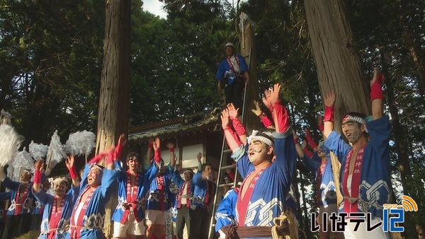 南福地御柱祭　里曳き・建御柱