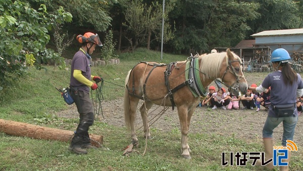 山から木を運ぶ馬搬を見学