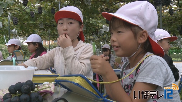 西箕輪小学校３年生　ぶどうの食べ比べと収穫体験