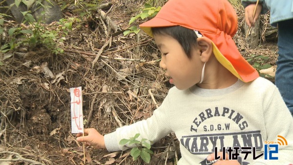 西山神社に幟旗を園児が奉納