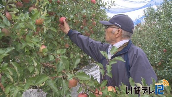 ２週連続台風接近　りんご農家に不安