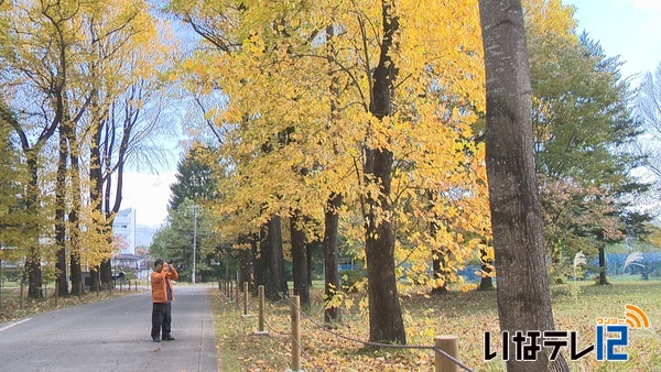 上伊那各地で紅葉進む