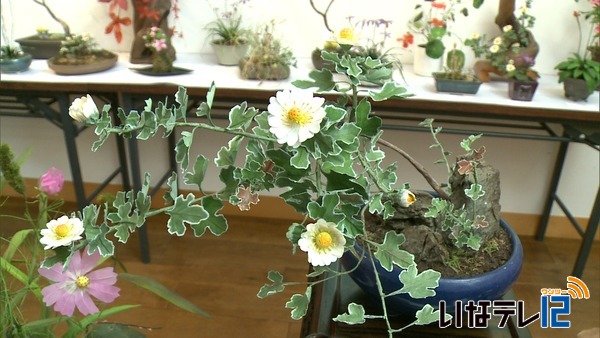 布で山野草を再現　「花のは」展示会