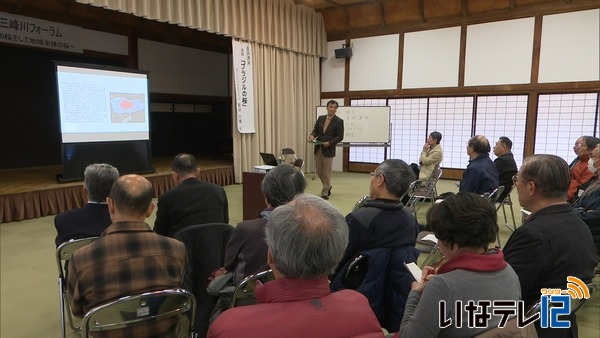 「三峰川フォーラム」　桜をテーマに河川環境や景観を考える