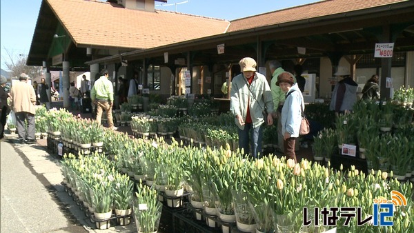 ４月中旬並みの１６．７度　今年一番の暖かさ