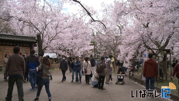 高遠城址公園　花見客で賑わう