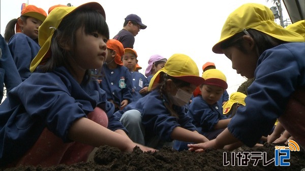 南箕輪村北部保育園　じゃがいも植え