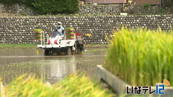 早くも田植え始まる