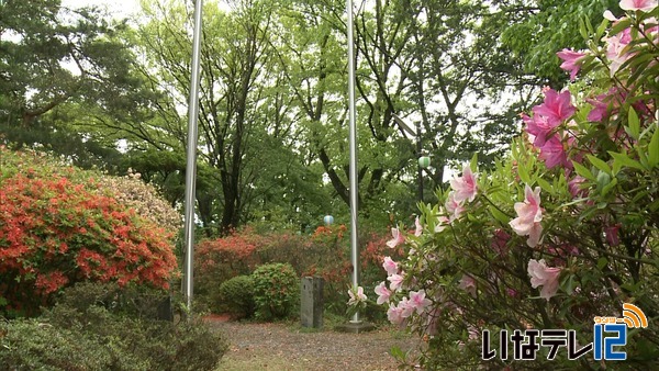 伊那市山寺の高尾公園　つつじ見ごろ