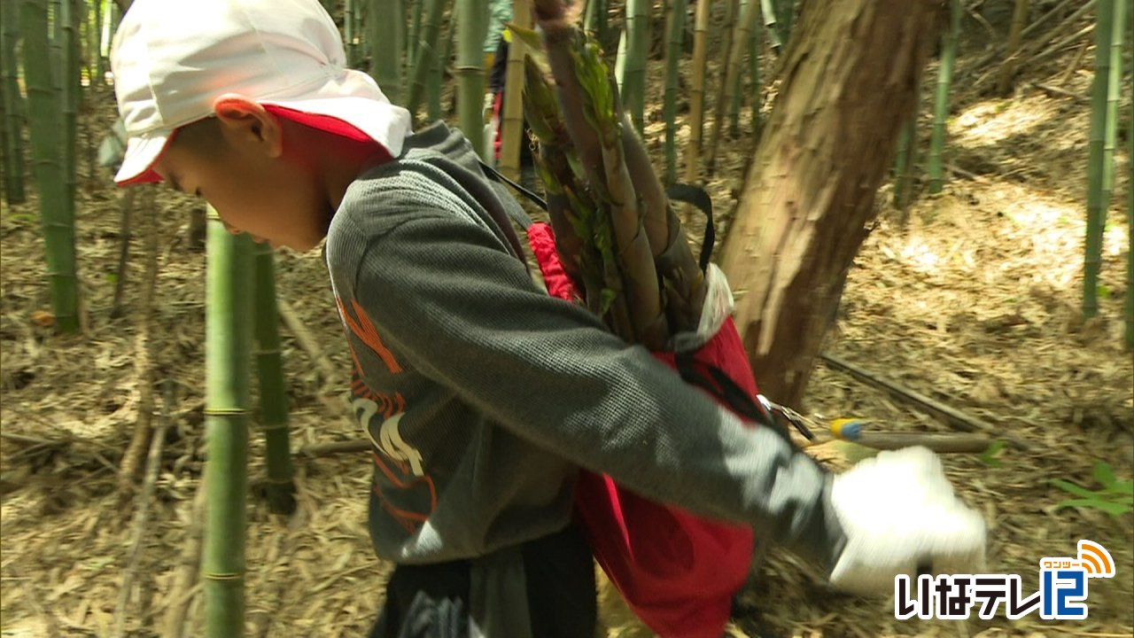 新山小児童がタケノコ採りを体験