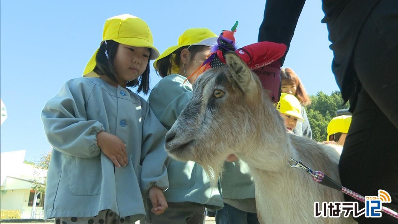 ふれあい動物園