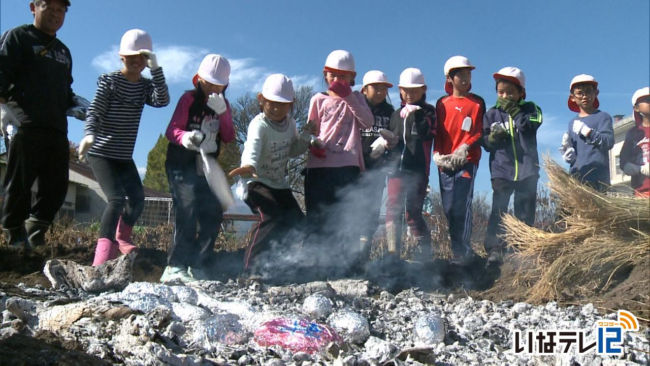 富県小学校で全校児童が焼き芋楽しむ