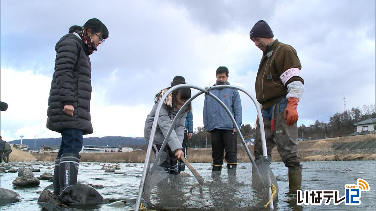 高校生がザザムシ漁を体験！