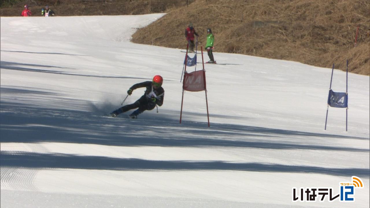 市民体育祭　スキー競技