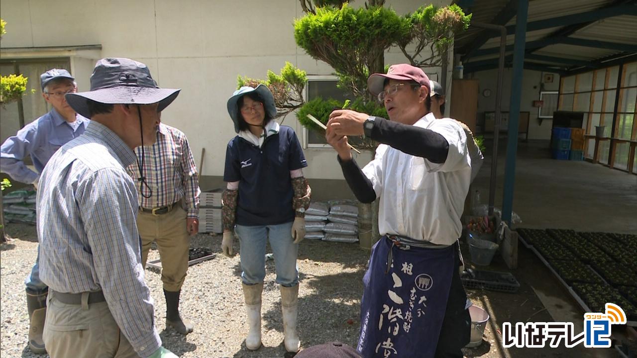 種から苗の育て方を学ぶ